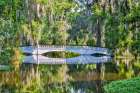 USA- South Carolina- Charleston. Magnolia Plantation Coastal Print